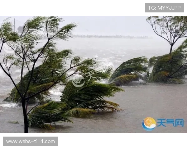 沈楠楠分析城市球场优势：节省时间不受天气影响推动未来发展趋势